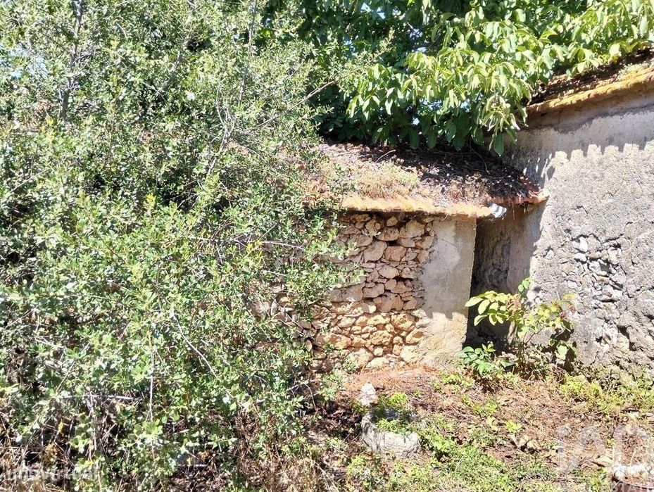 Casa de Campo em Brogueira, Parceiros de Igreja e Alcorochel