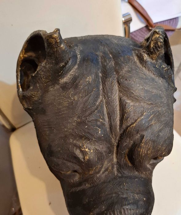Cane corso rzeźbiona głowa
