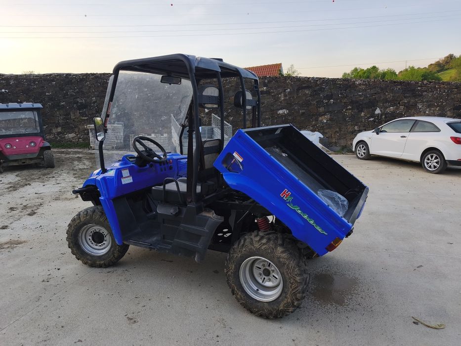 Buggy / UTV / utilitário / carrinho/ hytrack