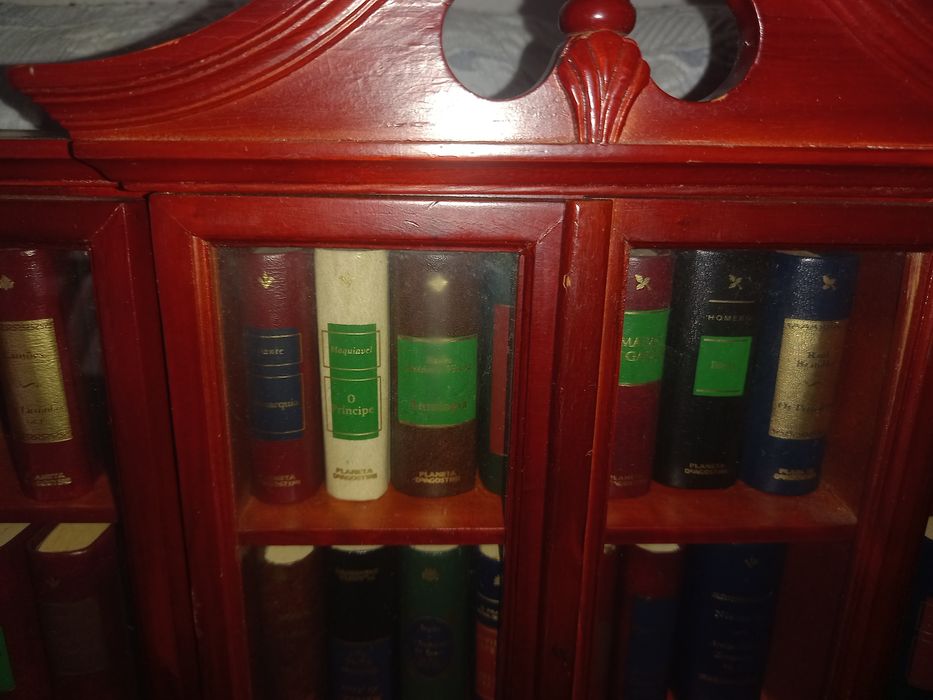 Biblioteca miniatura