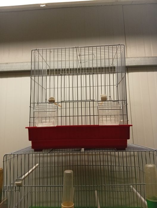 Várias gaiolas em bom estado