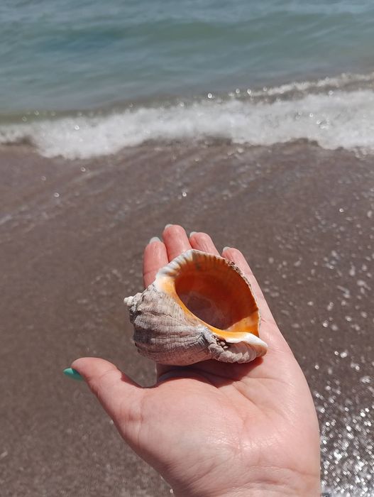Здам будинок подобово від хазяїна, 5хв.  до моря.