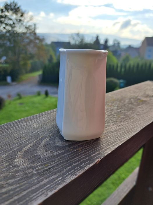 Mlecznik porcelanowy
