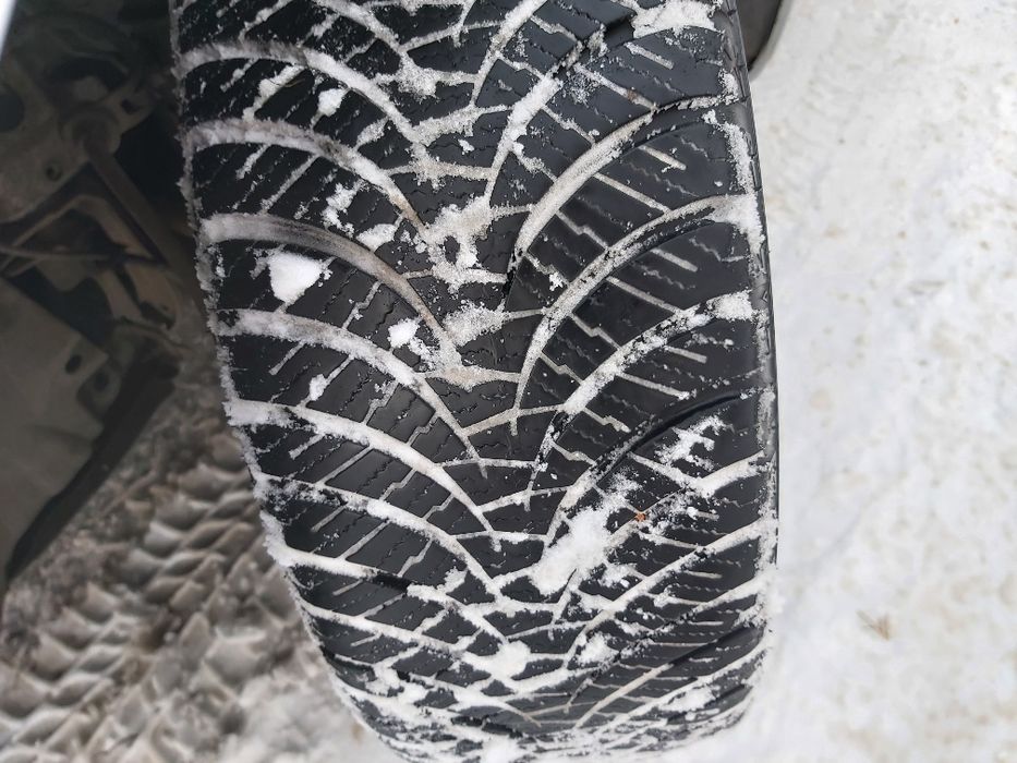 Renault Kangoo свіжопригнаний