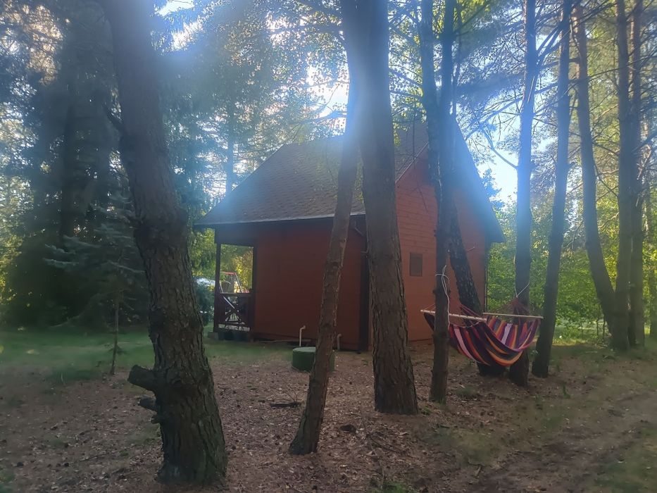 Domek letniskowy w Okoninach  / Nocleg Bory Tucholskie