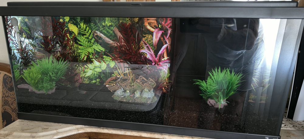 Aquario Aquatlantis