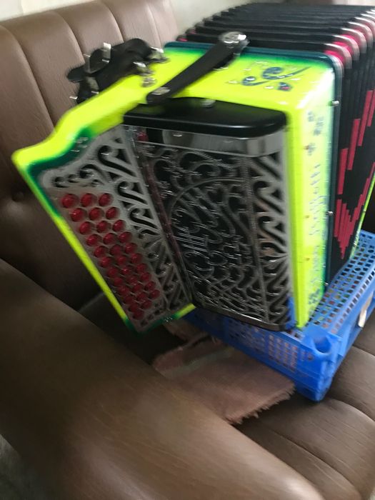 Vendo concertina da Famosa marca Dinobafetti semi nova