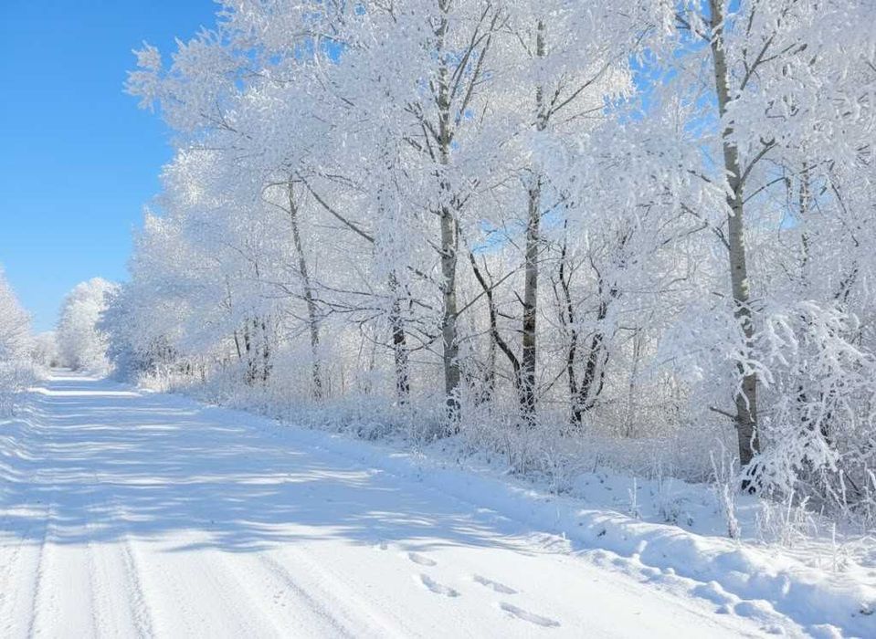 Продаж ділянки 10сот під дачну забудову. Фасад-25м. с.Улянівка. ID:745