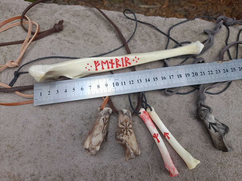 Кости волка Кістки вовка.