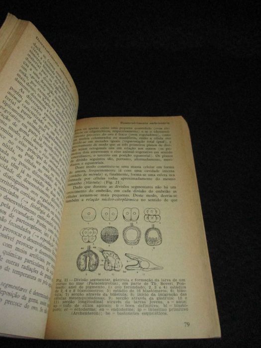Livro Biologia 2 Zoologia Bernhard Rensch