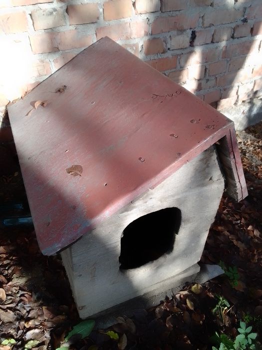 Собача буда покрита бляхою