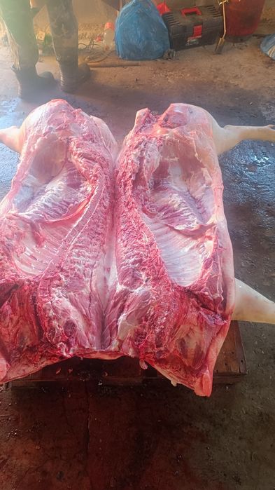 Продам півтуші свиней (є доставка)