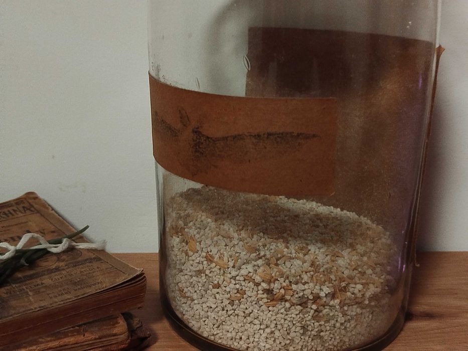 Stara butelka apteczna 1