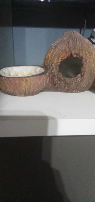 terarium dla zwierząt egzotycznych