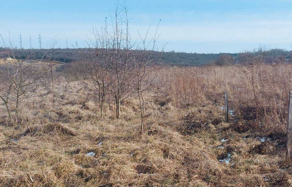 Продаж ділянки Малечковичі 14 сот.