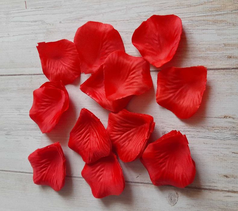 Пелюстки  червоної  троянди, листя диффенбахії