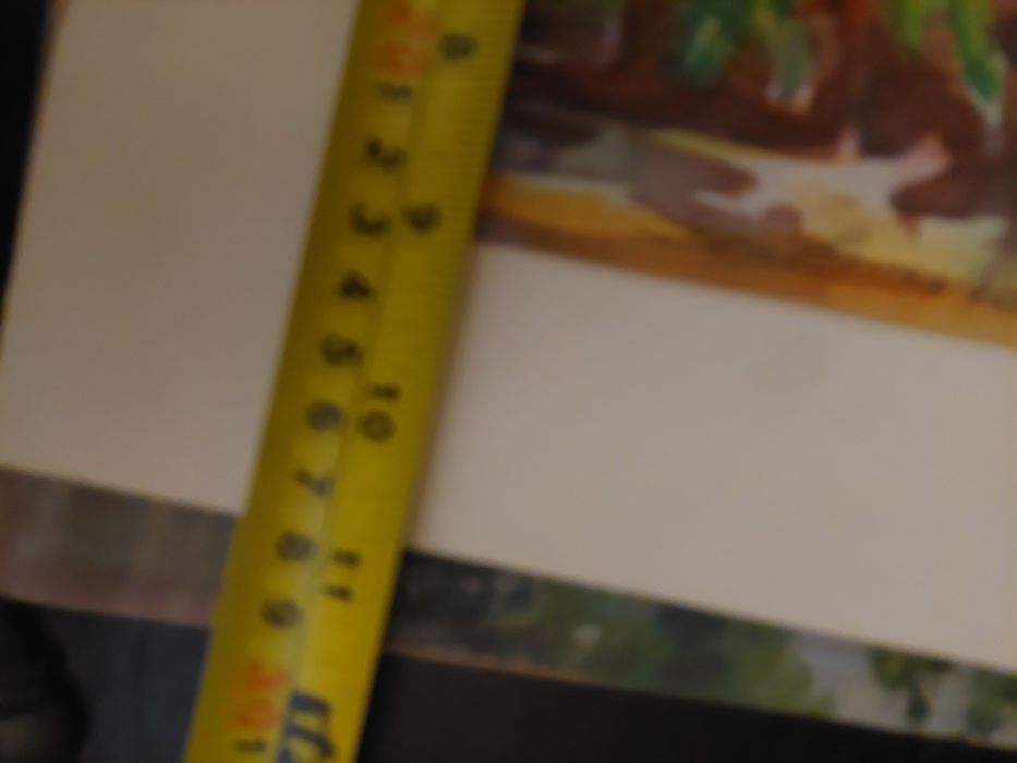 Linda aguarela assinada flores