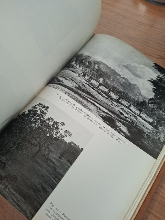 As Florestas de Timor por Ruy Cinatti