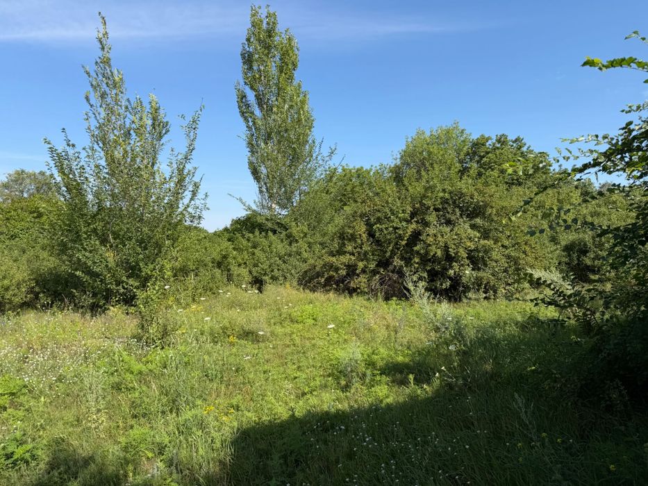 Продам коммерческое помещение с. Николаевка (Новомосковский район)