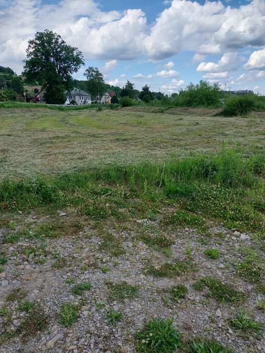 Działka inwestycyjna 49ar prY DW 977 w tym 17arow pod usługę - Widok 3
