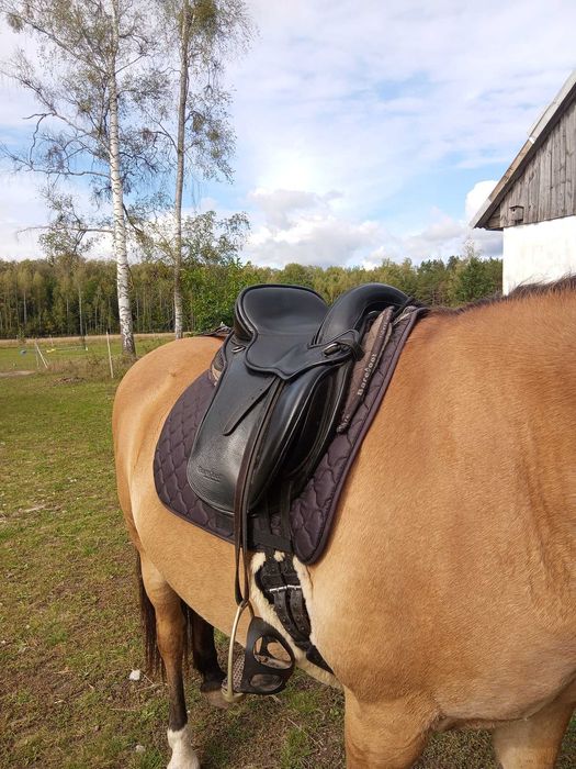 Siodło skokowe Barefoot