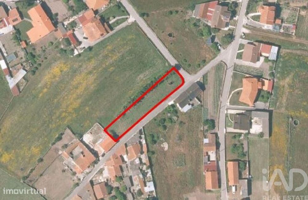Terreno em Monte Real e Carvide