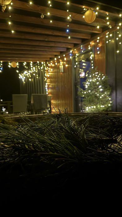 Єдиний котедж на ділянці.Карпатський чан у подарунок