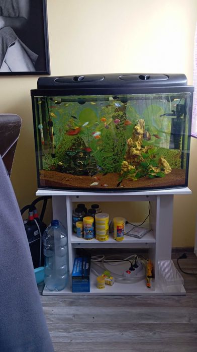 OKAZJA!!! Akwarium z rybkami 120 L