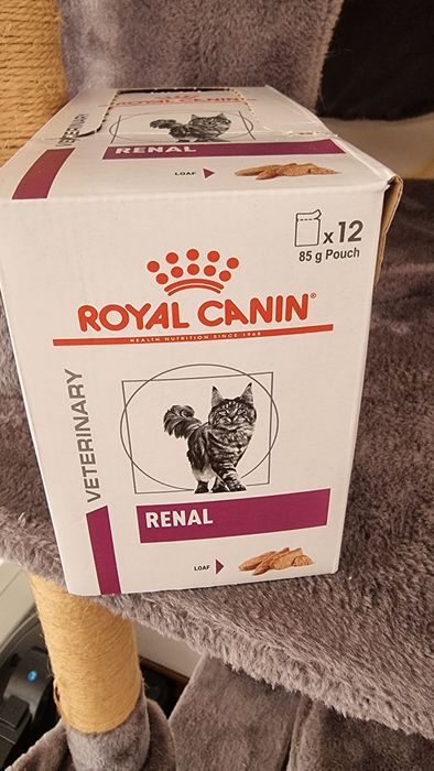 Royal Canin Renal Loaf (Mus) – karma nerkowa dla kota, 8 saszetek x 85g (NOWE)