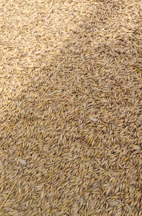 Owies do pieca.        .