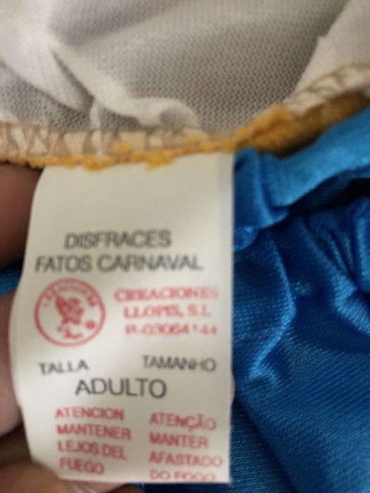 Fato de Carnaval campones