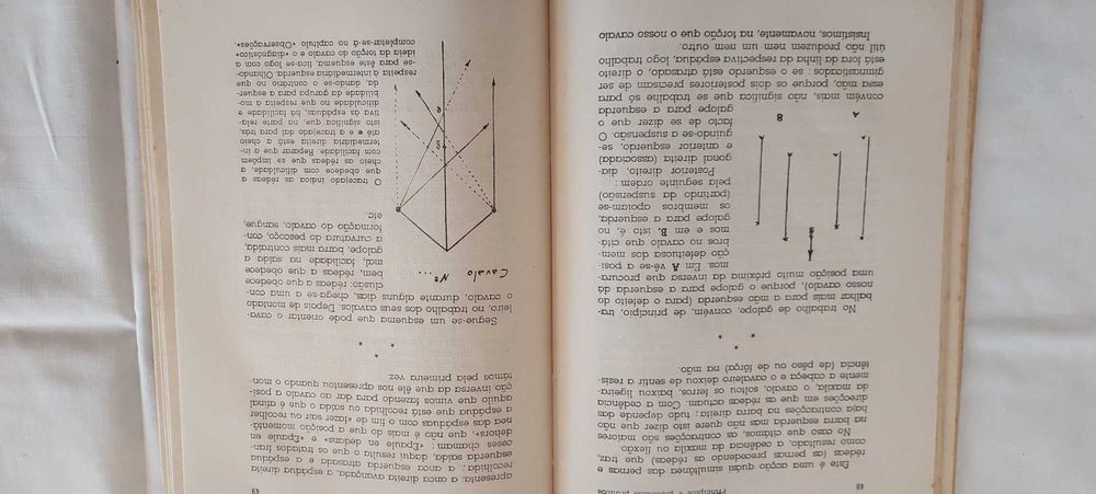 Processos práticos para equitação principiantes