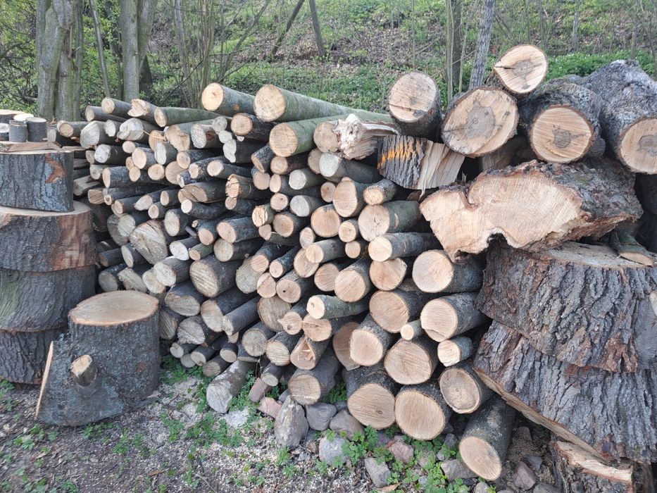 Drzewo na opał, dąb, klon, lipa.