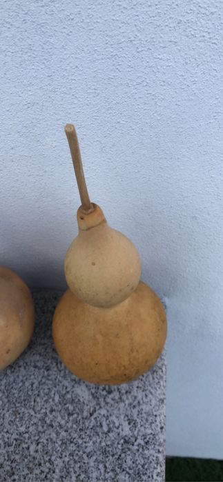 Cabaças bem velhinhas