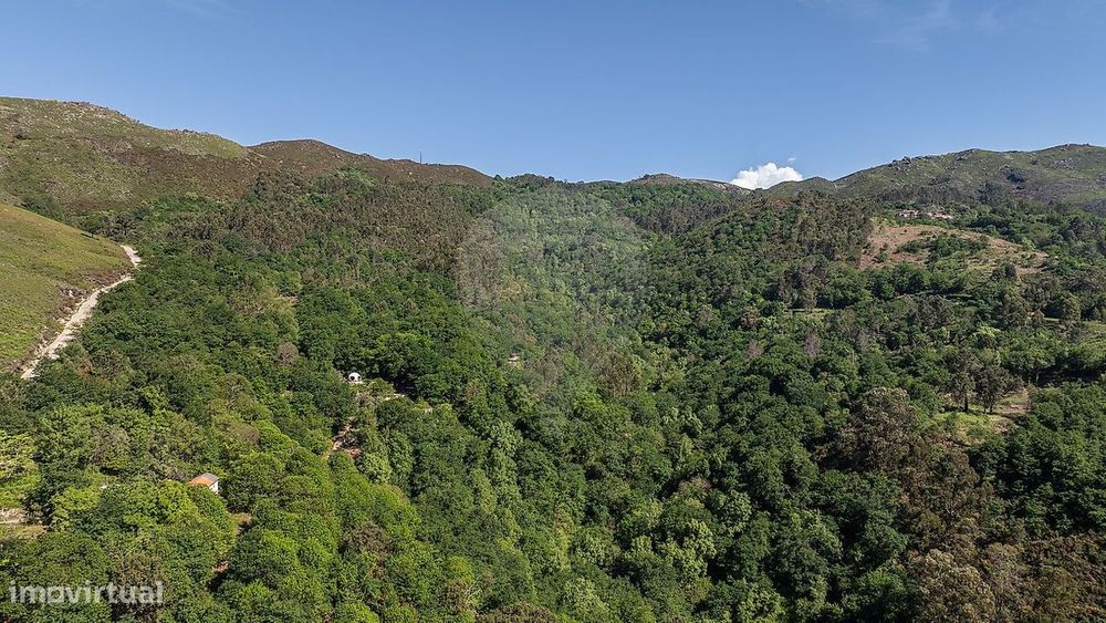 Terreno  para venda