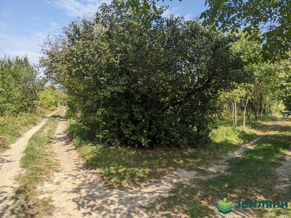 Продаж Дачі 5,01 сот в с.Вовчинець, СТ Агрохімік (5)