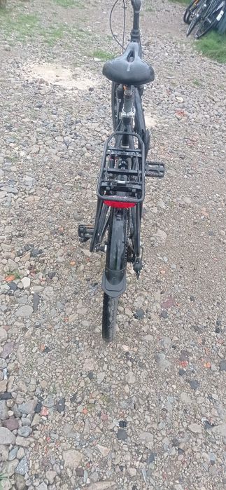 Pegasus Piazza 28 cali