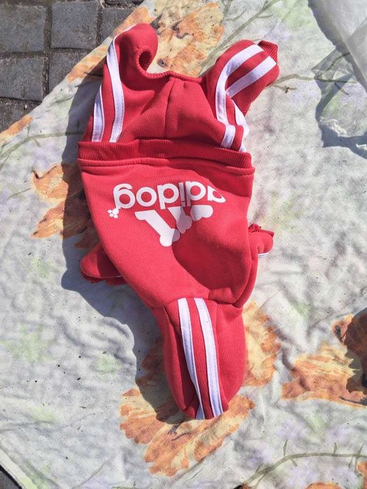 Roupas para Cão Pequeno – Casaco de Inverno e Fato Desportivo