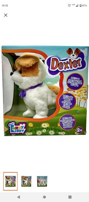 Interaktywny piesek dexter