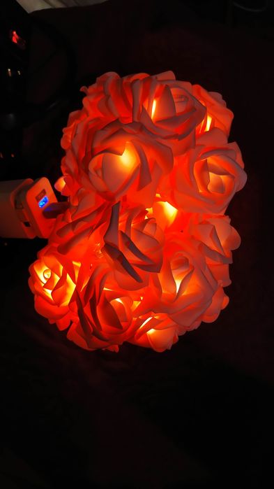 Гирлянда подсветка Розы