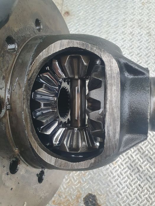 Pinha diferencial Range Rover P38