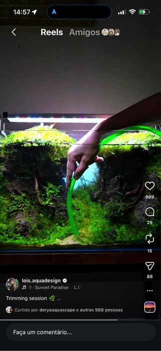 Manutencão em aquarios/Limpeza