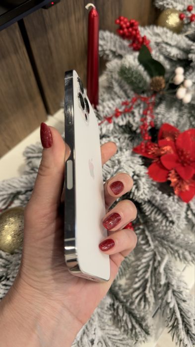 iPhone 12 Pro Max, Silver, 256 GB