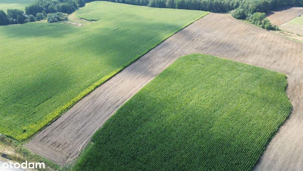 Działka pod zabudowę wielorodzinną 8400 m2 PUM