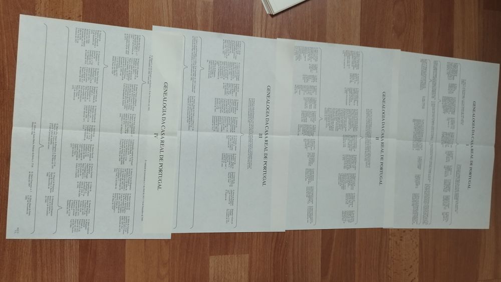 As 30 TABOAS da história genealógica da casa real portuguesa