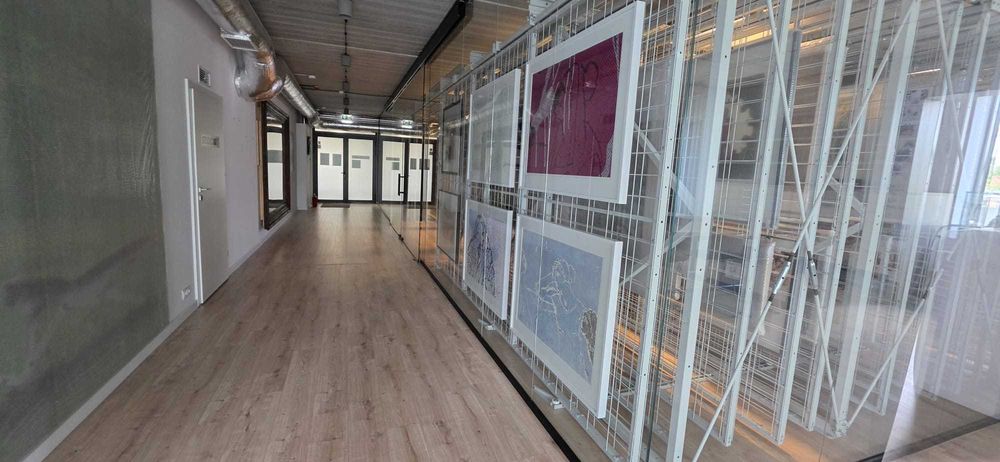 Lokal 196,98 mkw Księcia Witolda, Idealne doświetlenie