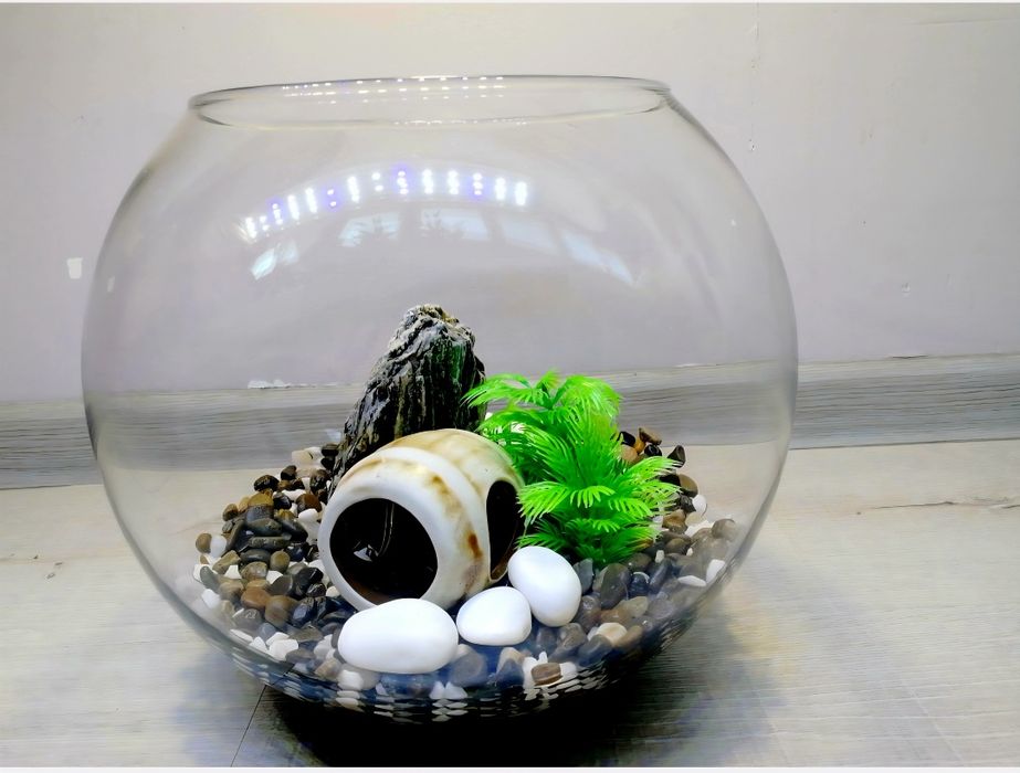 На подарунок Рибка Півник з акваріумом 7л | Повний комплект | Доставка