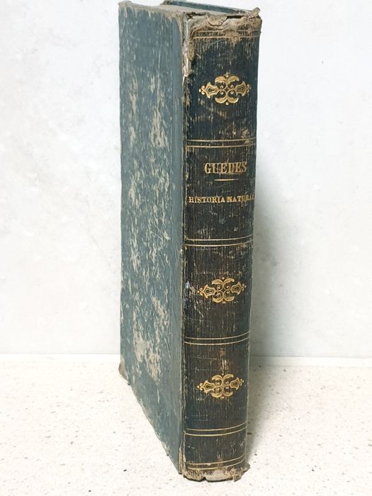 Antique book from 1865: Guedes - Elementary Course of Natural History
