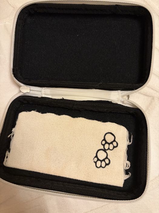 Nintendo DS lite