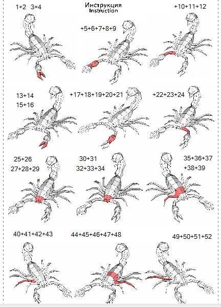Электронная развертка Скорпиона в формате pdf Papercraft